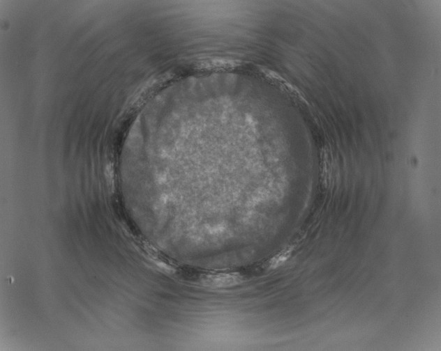 X0000067850716200605111708