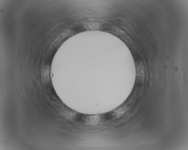 X0000067850717200605111708