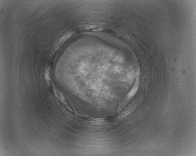 X0000067850720200605111708