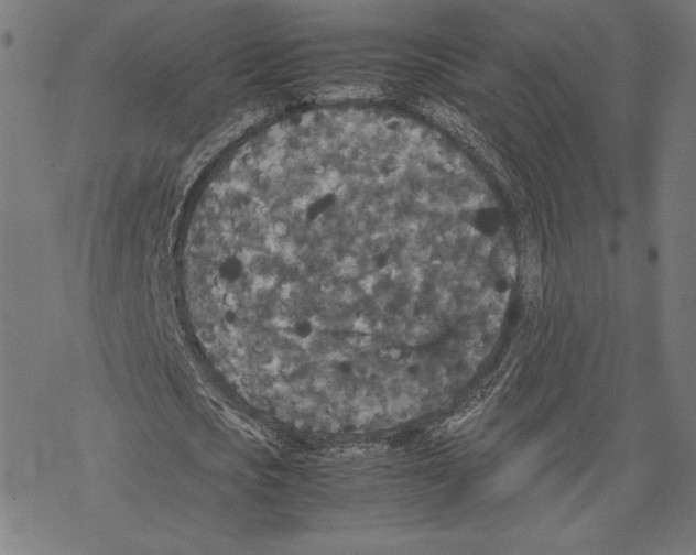 X0000067850721200605111707