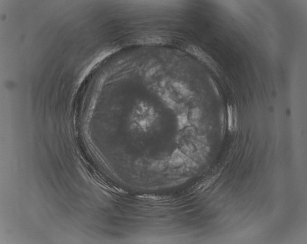 X0000067850723200605111707