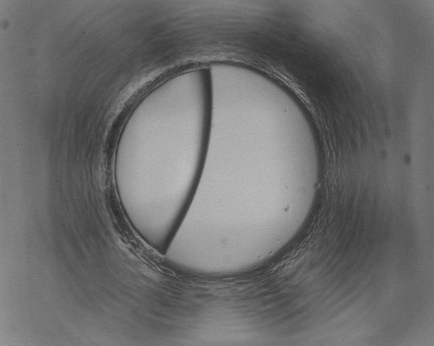 X0000067850724200605111707