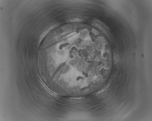 X0000067850725200605111707