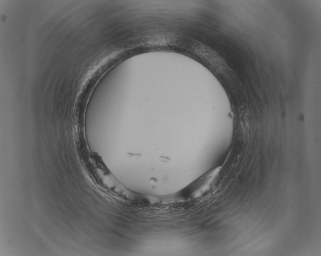 X0000067850728200605111707