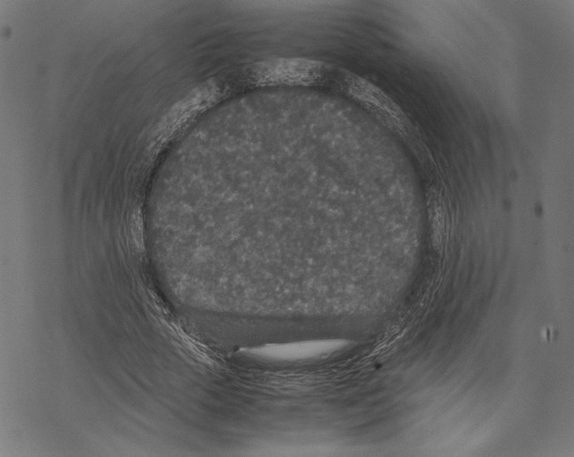 X0000067850729200605111707