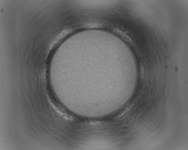 X0000067850730200605111707