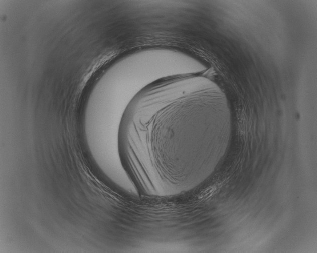 X0000067850731200605111707