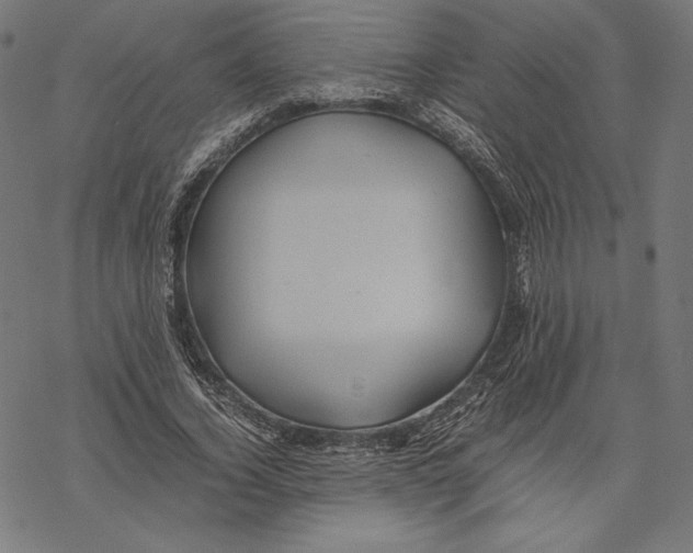 X0000067850732200605111707