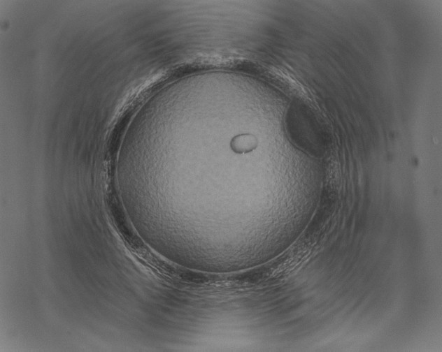 X0000067850736200605111707