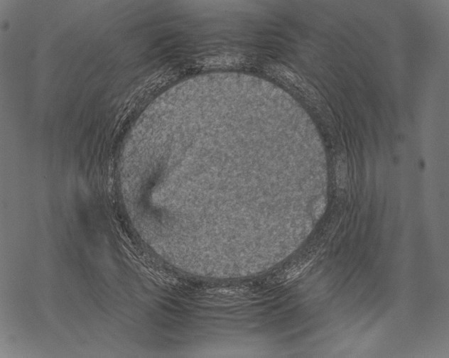 X0000067850737200605111707