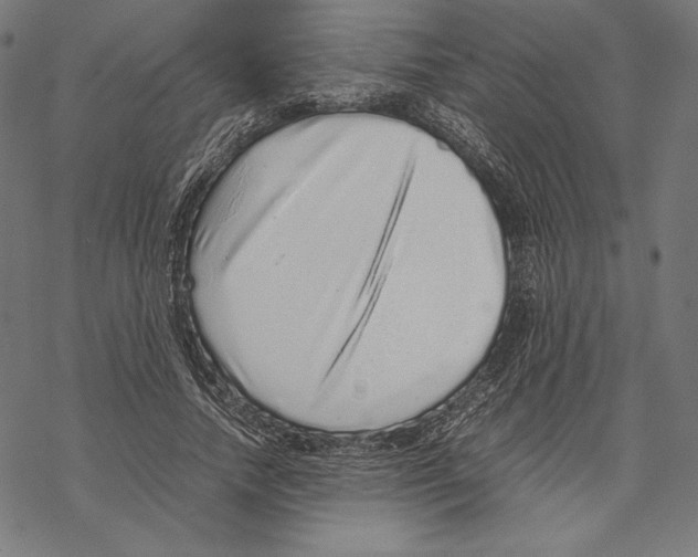 X0000067850738200605111707