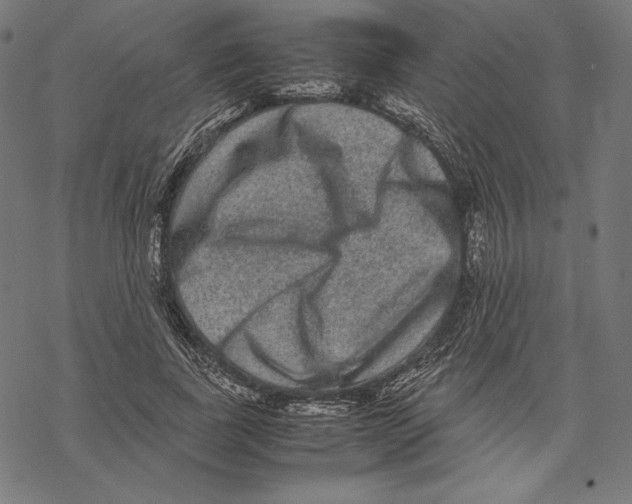 X0000067850739200605111707