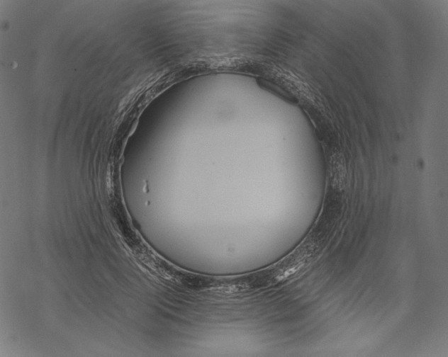 X0000067850740200605111707