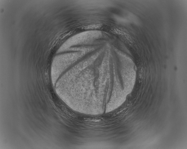 X0000067850743200605111708