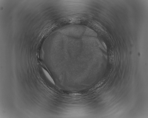 X0000067850748200605111708