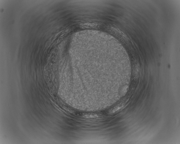 X0000067850749200605111708