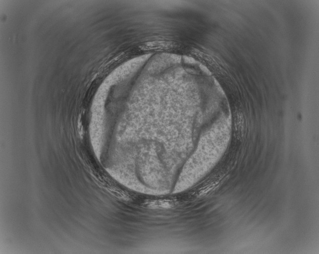 X0000067850751200605111708