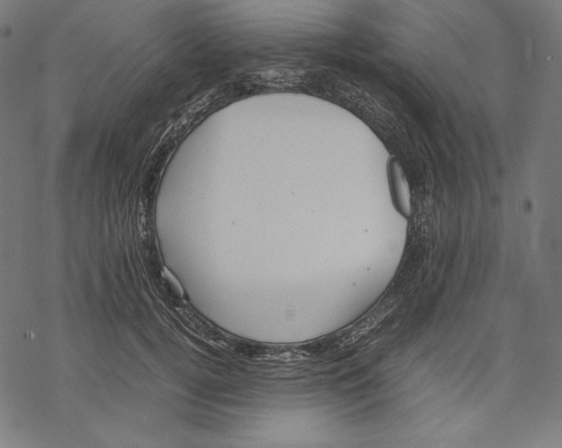 X0000067850752200605111708