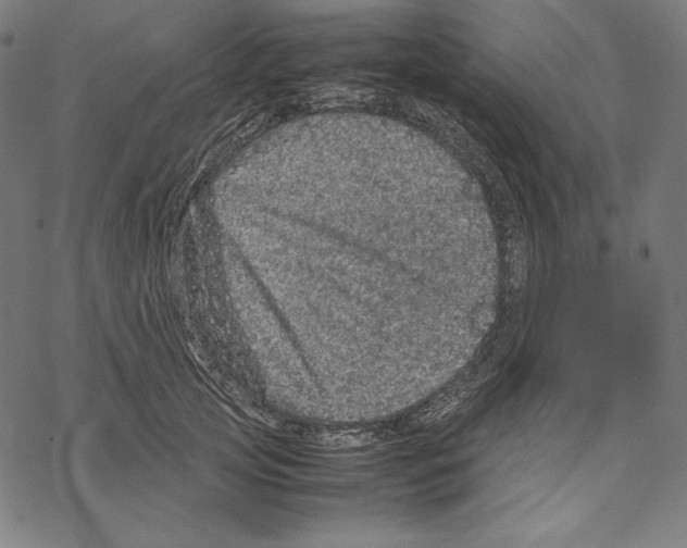 X0000067850753200605111708