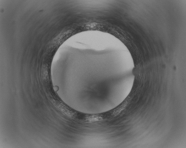 X0000067850754200605111708