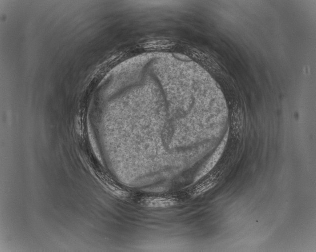 X0000067850755200605111708