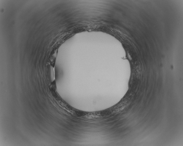 X0000067850756200605111708