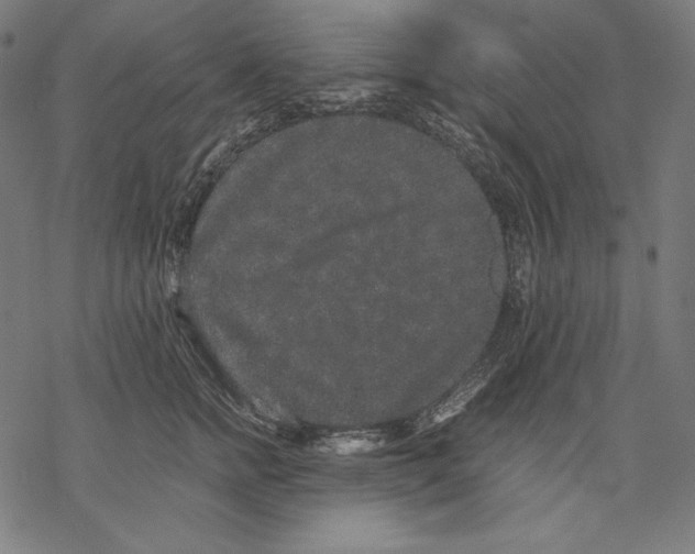 X0000067850758200605111708