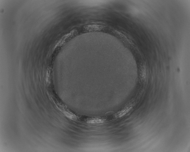 X0000067850759200605111708