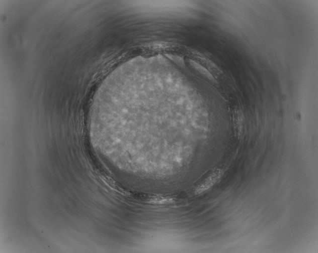 X0000067850760200605111708