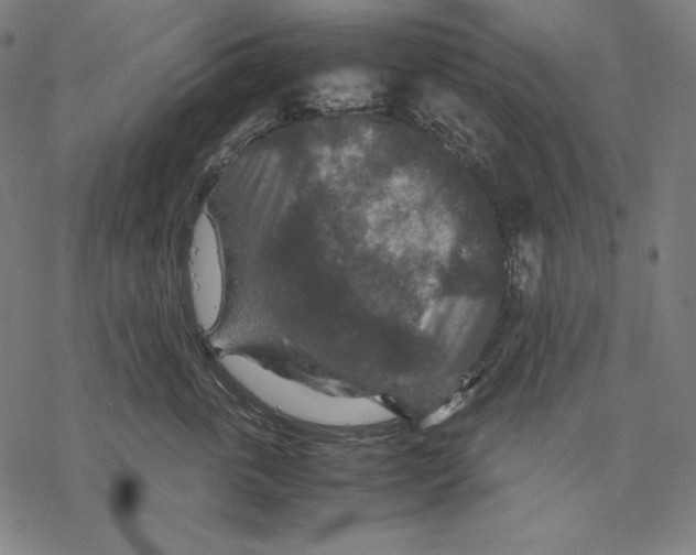 X0000067850763200605111708