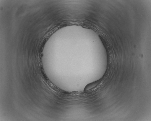 X0000067850764200605111708