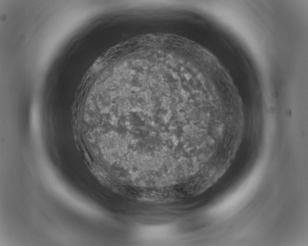 X0000067850765200605111708