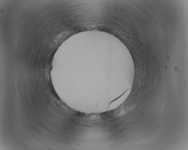 X0000067850768200605111708