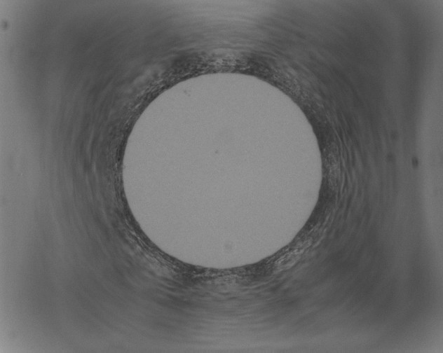 X0000067850769200605111707