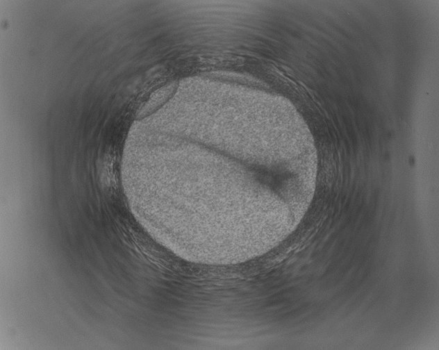 X0000067850770200605111707