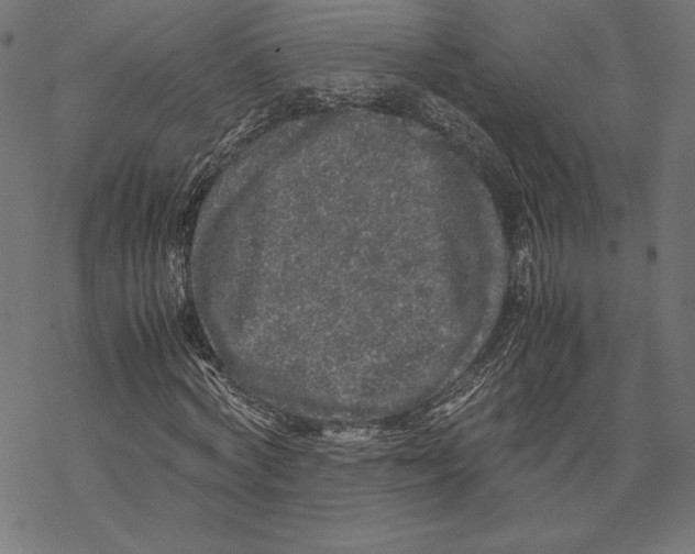 X0000067850772200605111707