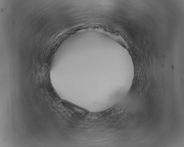 X0000067850773200605111707