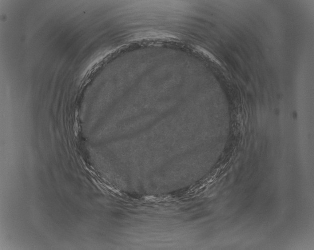 X0000067850775200605111707