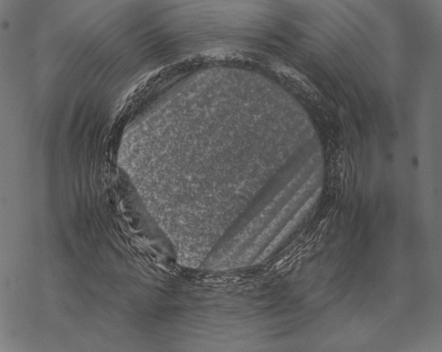 X0000067850776200605111707