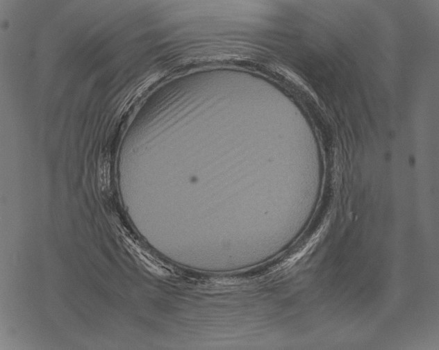 X0000067850777200605111707