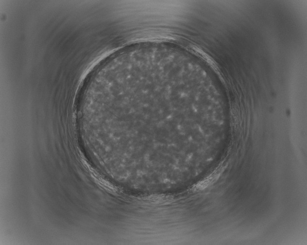 X0000067850779200605111707