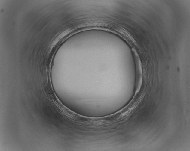 X0000067850781200605111707