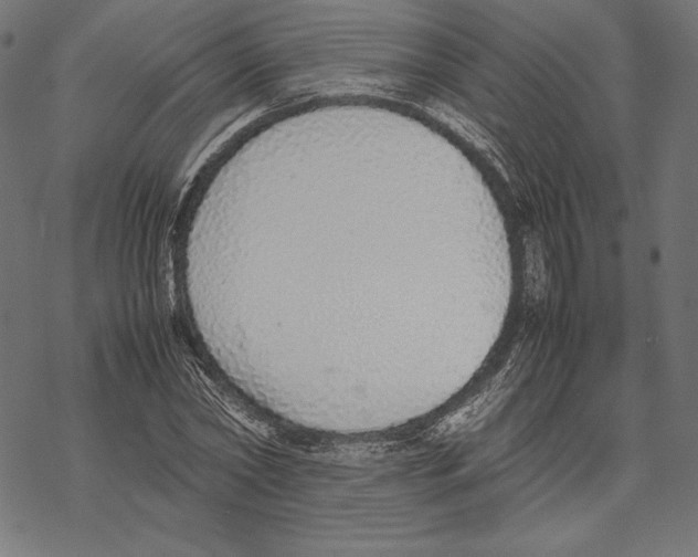 X0000067850782200605111707