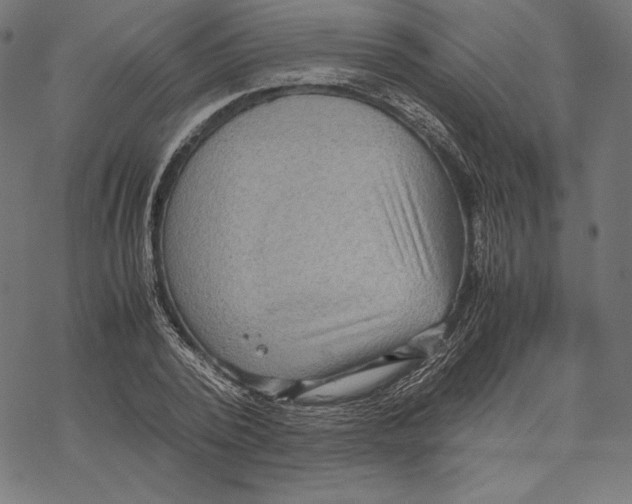 X0000067850784200605111707