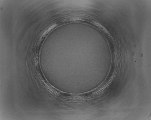 X0000067850785200605111707