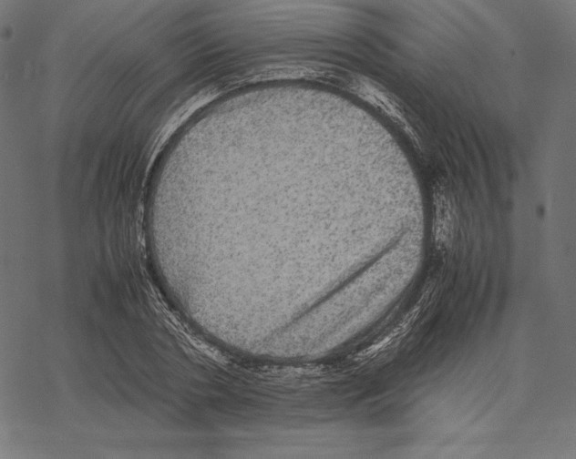 X0000067850786200605111707