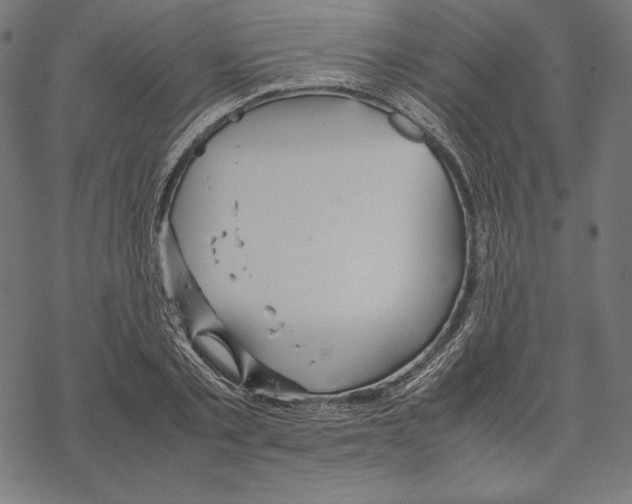 X0000067850789200605111707