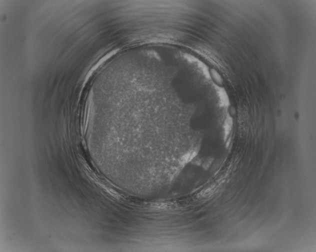 X0000067850790200605111707