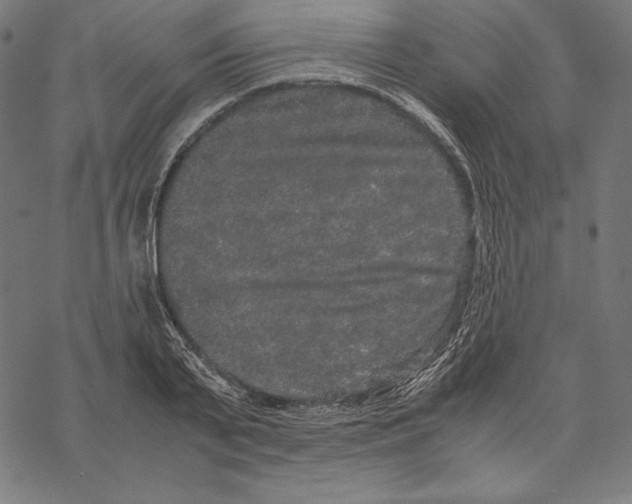 X0000067850791200605111707