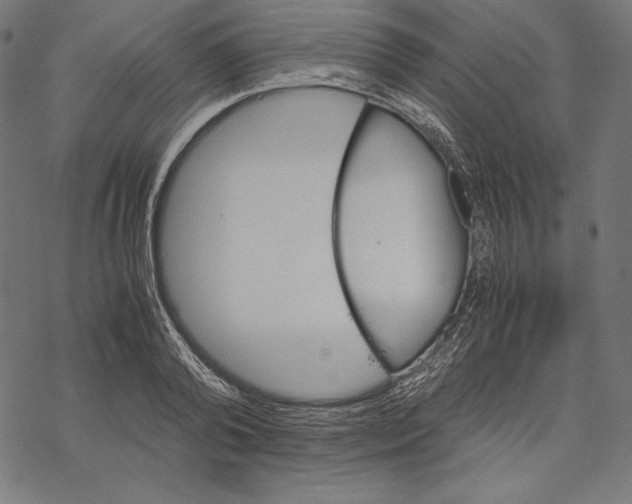 X0000067850792200605111707